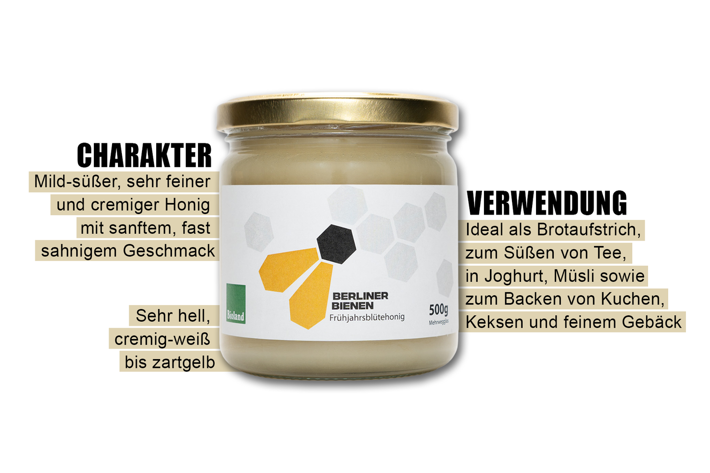 Frühjahresblüte aus Brandenburg