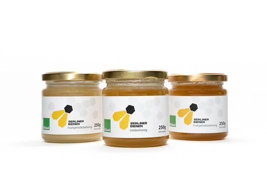 Das Probierset - Berliner Bienen